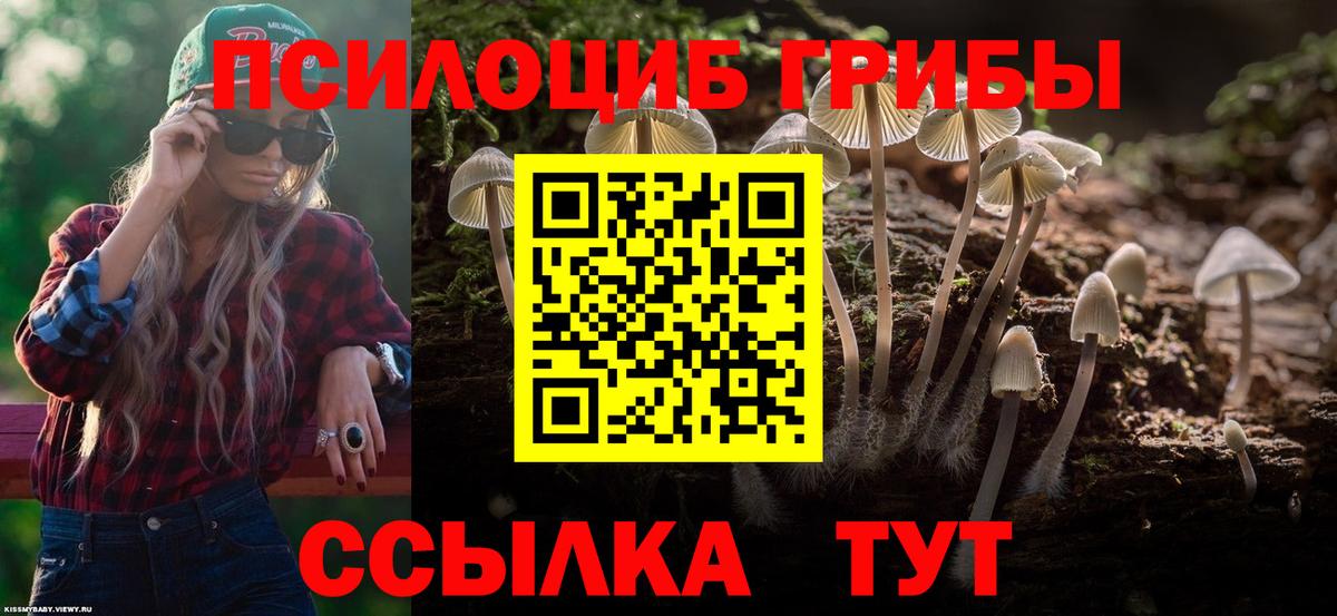 Галлюциногенные грибы GOLDEN TEACHER  Галлюциногенные грибы Psilocybe  Вход с VPN  Орехово-Зуево 